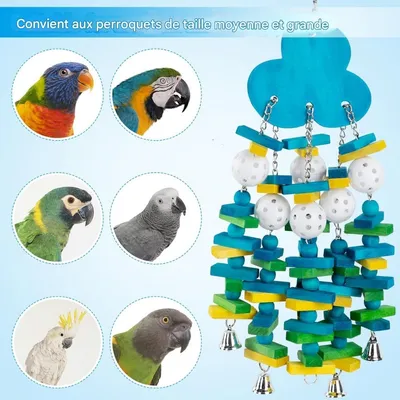 ZooVenture Jouet pour grands oiseaux