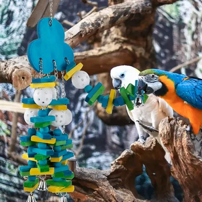 ZooVenture Juguete para pájaros grandes