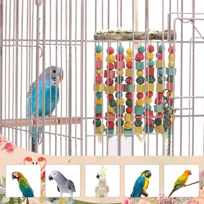 ZooVenture Jouet de mâchouillage pour grands oiseaux