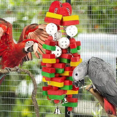 ZooVenture Juguete para pájaros grandes