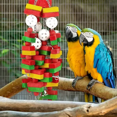 ZooVenture Juguete para pájaros grandes