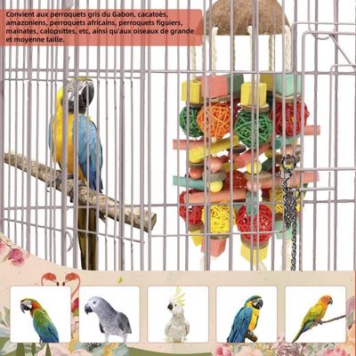 ZooVenture Natürliches Kauspielzeug aus Holz für Vögel