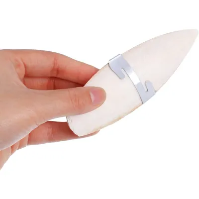 ZooVenture Lot d'os de seiche jouets à mâcher pour oiseaux et reptiles