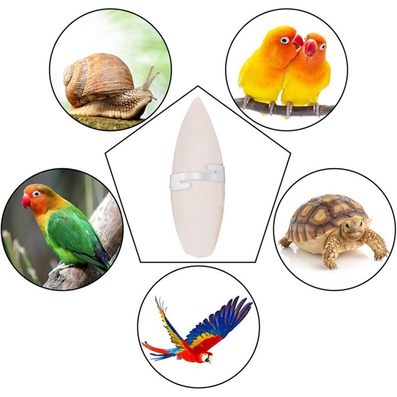 ZooVenture Lot d'os de seiche jouets à mâcher pour oiseaux et reptiles