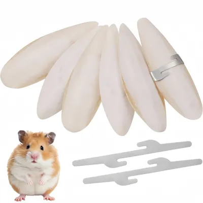 ZooVenture Lot d'os de seiche jouets à mâcher pour oiseaux et reptiles