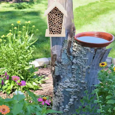 Rocky Paws  Hôtel à insectes en bambou et bois