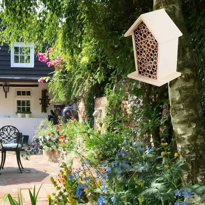 Rocky Paws  Hôtel à insectes en bambou et bois