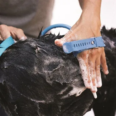 Rocky Accessoire de douche 2 en 1 pour animal de compagnie