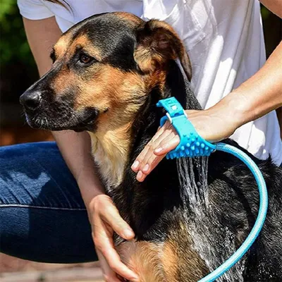 Rocky Accessoire de douche 2 en 1 pour animal de compagnie