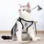 Rocky Gilet de chat avec accessoires