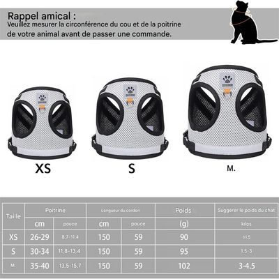 Rocky Gilet de chat avec accessoires