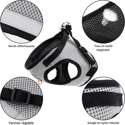 Rocky Gilet de chat avec accessoires