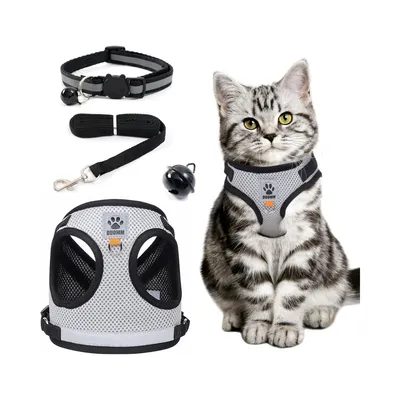 Rocky Gilet de chat avec accessoires Rocky Gilet de chat avec accessoires