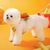 Rocky Harnais pour animal de compagnie