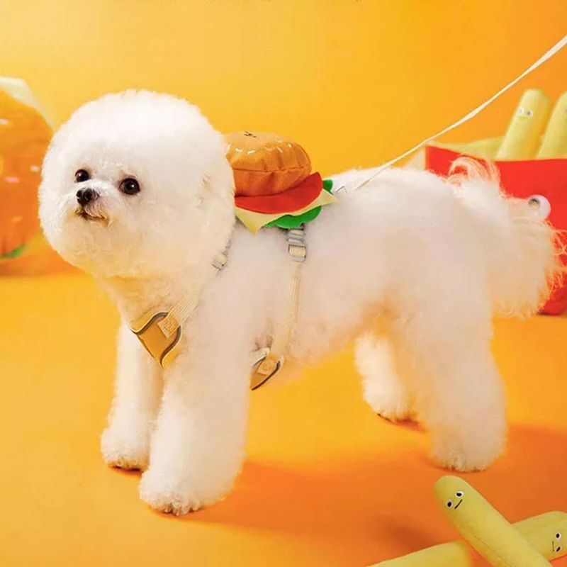 Rocky Harnais pour animal de compagnie