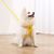 Rocky Harnais pour chats et chiens