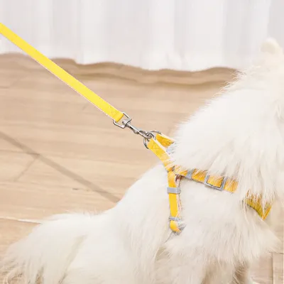 Rocky Harnais pour chats et chiens