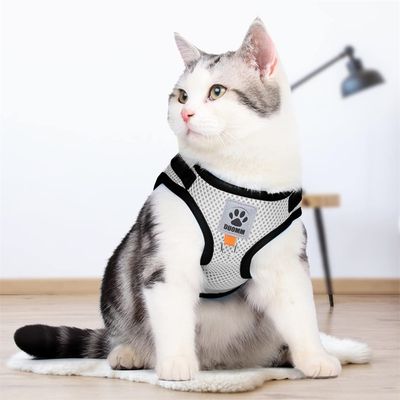 Rocky Gilet de chat avec accessoires