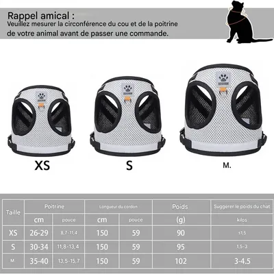 Rocky Gilet de chat avec accessoires