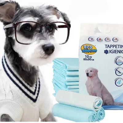 ZooVenture Tapis d'urine pour chien