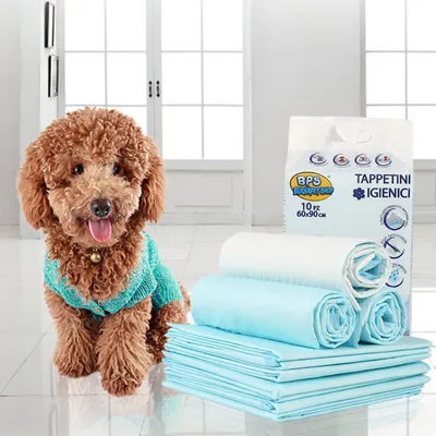 ZooVenture Tapis d'urine pour chien