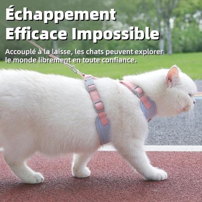 Zoomtopia Harnais de sécurité pour chat