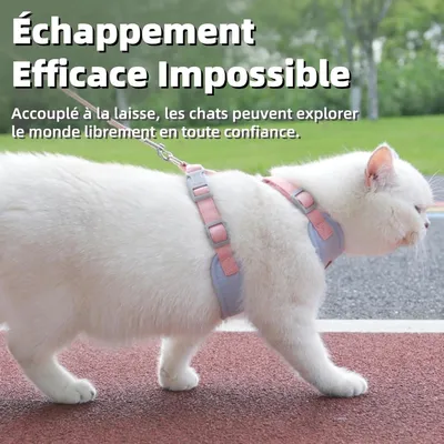 Zoomtopia Harnais de sécurité pour chat