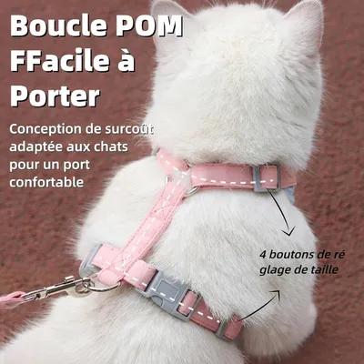 Zoomtopia Harnais de sécurité pour chat