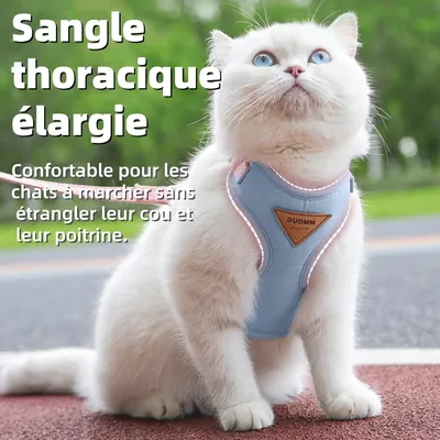 Zoomtopia Harnais de sécurité pour chat
