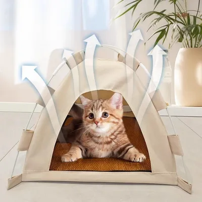 ZooVenture Tente portable pour animaux