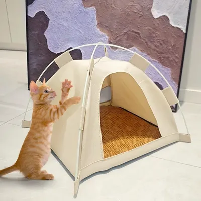 ZooVenture Tente portable pour animaux