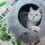 Rocky Nid pour chat