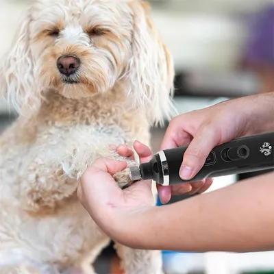 Rocky Meuleuse pour ongles de chien