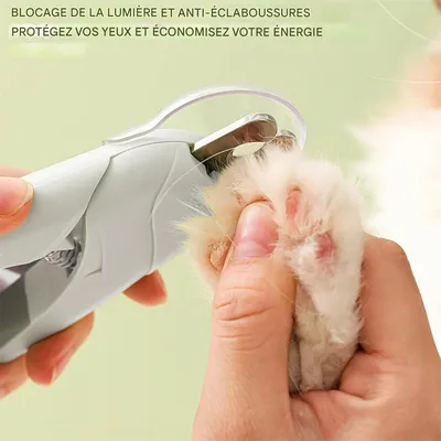 Rocky Ciseaux à ongles pour animaux de compagnie