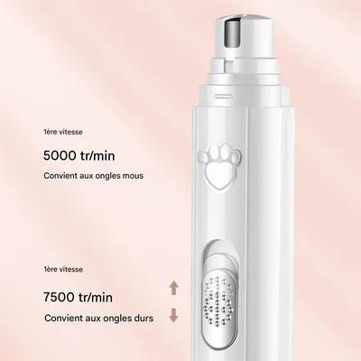 Rocky Broyeur à griffes pour animaux de compagnie