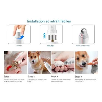 Rocky Broyeur à griffes pour animaux de compagnie