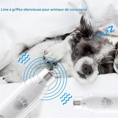 Rocky Broyeur à griffes pour animaux de compagnie
