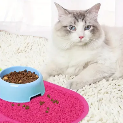 Zoomtopia Tapis de litière pour chat