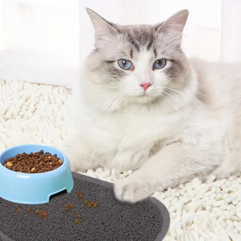 Zoomtopia Tapis de litière pour chat