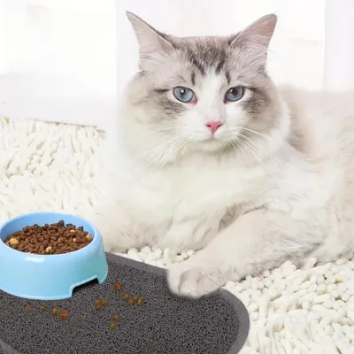 Zoomtopia PVC Tapis Litière Anti - Glissement Pour Chien Et Chat