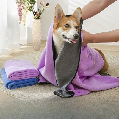 Rocky Serviette absorbante pour animaux de compagnie