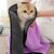 Rocky Serviette absorbante pour animaux de compagnie
