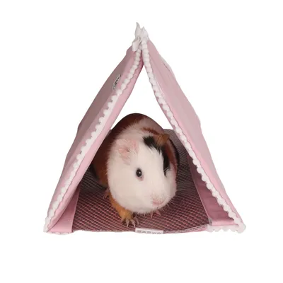 Zoomtopia Nid tunnel pour petits animaux