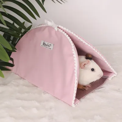 Zoomtopia Nid tunnel pour petits animaux