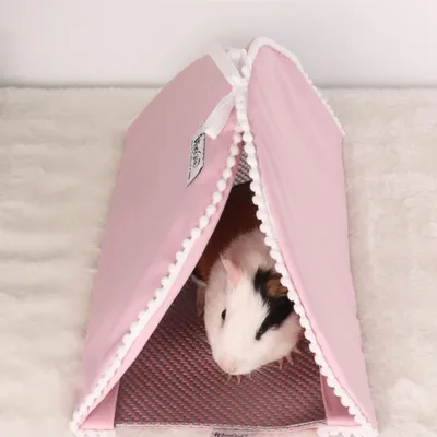 Zoomtopia Nid tunnel pour petits animaux