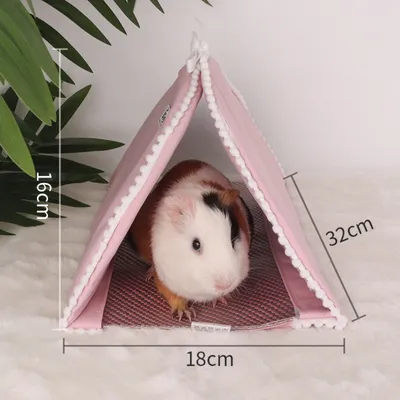 Zoomtopia Nid tunnel pour petits animaux