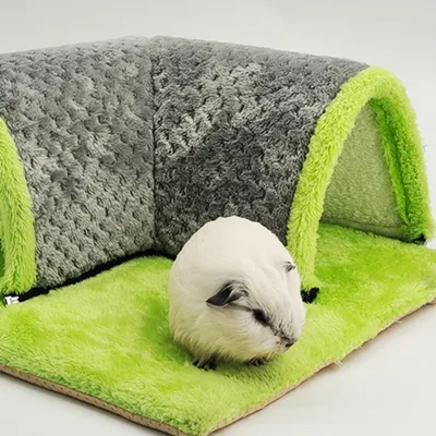 Zoomtopia Lit tunnel pour cochon d'Inde