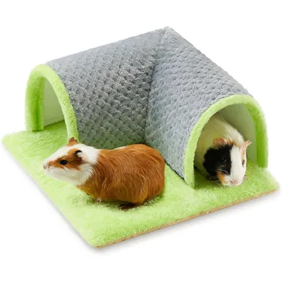 Zoomtopia Lit tunnel pour cochon d'Inde
