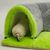 Zoomtopia Lit tunnel pour cochon d'Inde