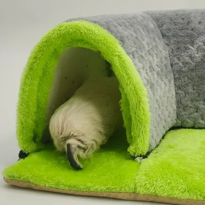 Zoomtopia Lit tunnel pour cochon d'Inde